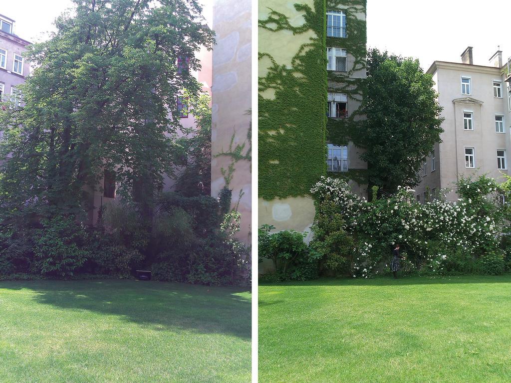 Garten Apartment Grünentorgasse Viena Exterior foto